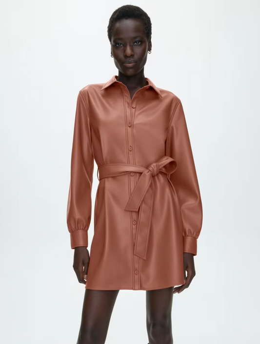 Wilfred Caroline Brown Pleather Dress, Size S