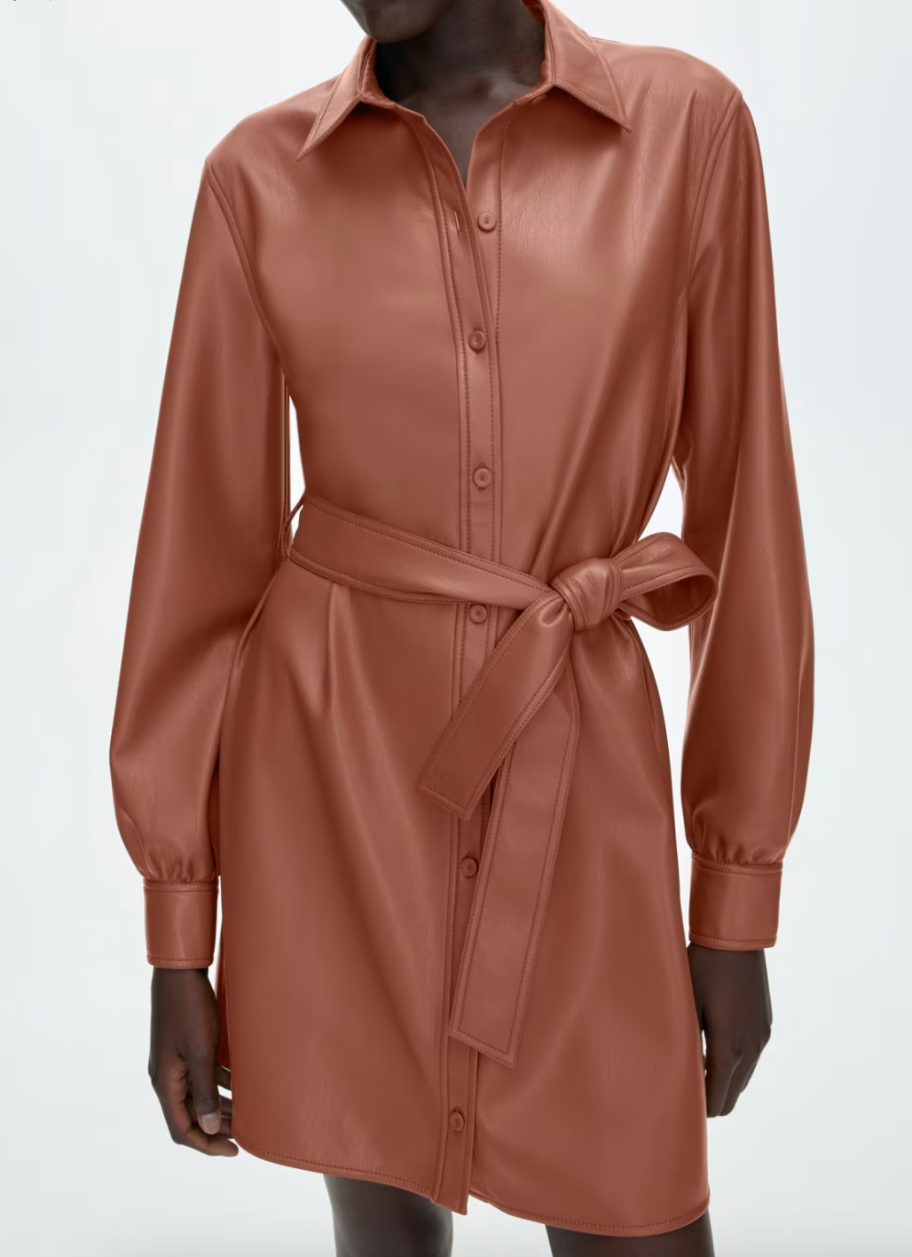 Wilfred Caroline Brown Pleather Dress, Size S